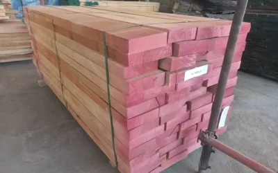 مقایسه چوب راش گرجستان و ترکیه: قیمت ۱۴۰۵، کیفیت و کاربرد در کف پله، مبلمان کلاف تمام راش و درب چوبی | فن و هنر