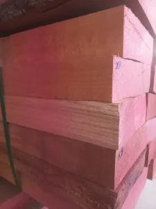 گونه‌های چوب راش